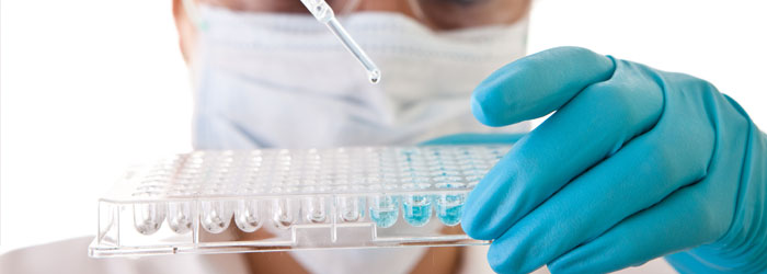 1488476007005 1488476007005