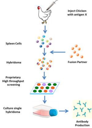 1488480305309 1488480305309